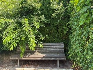 gratis hardhouten tuinbank, Tuin en Terras, Tuinbanken, Ophalen, Gebruikt, Hout