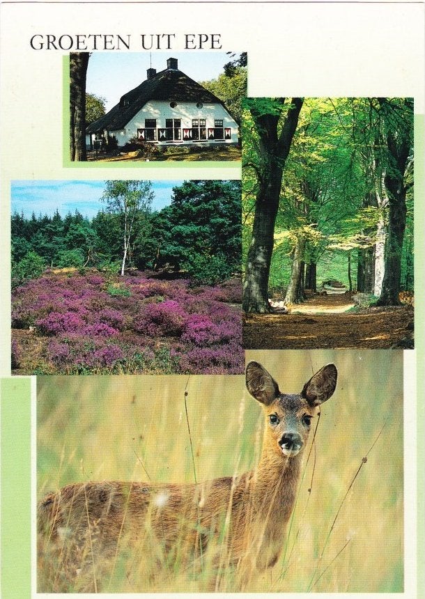 Epe Gelopen Ansichtkaart ( B1885 ), Ophalen of Verzenden, 1940 tot 1960, Gelopen, Gelderland