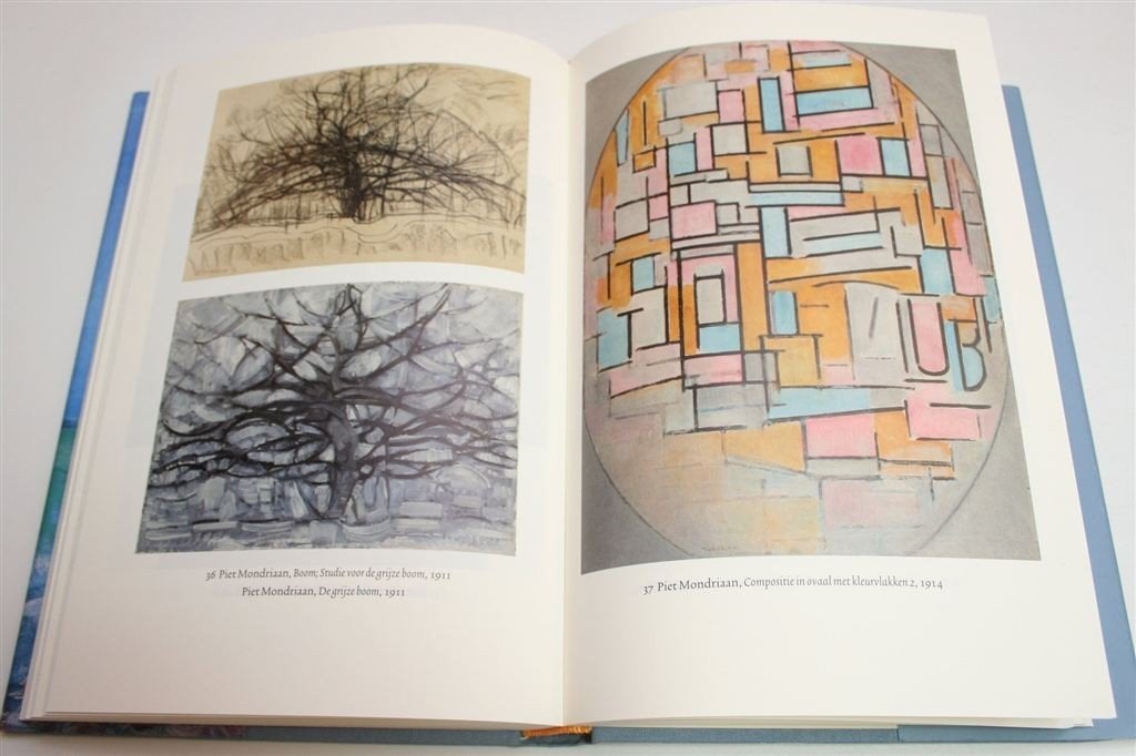 Mondriaan — Zijn Relatie met de Natuur [Biografie], Boeken, Ophalen of Verzenden, Zo goed als nieuw