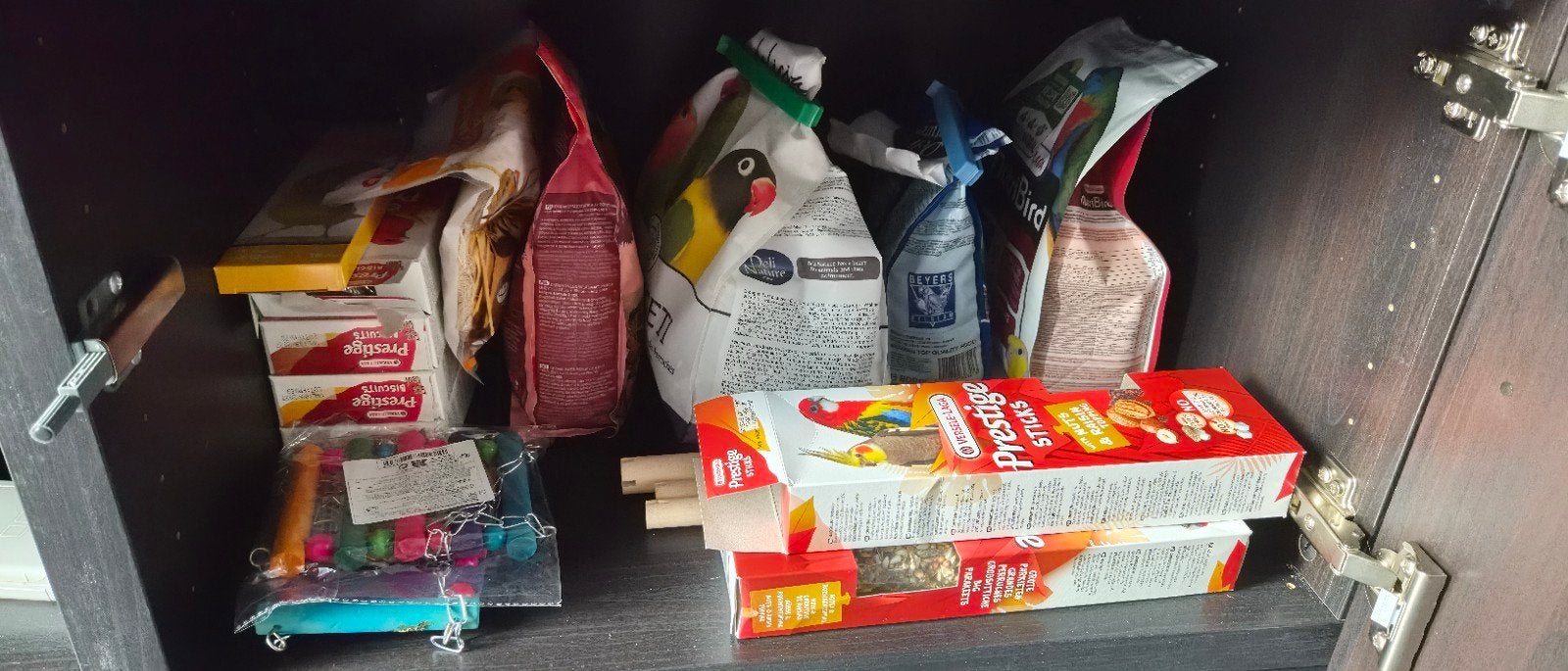 2 dwergpapegaaien, kooi en toebehoren te koop!, Dieren en Toebehoren, Meerdere dieren, Tam