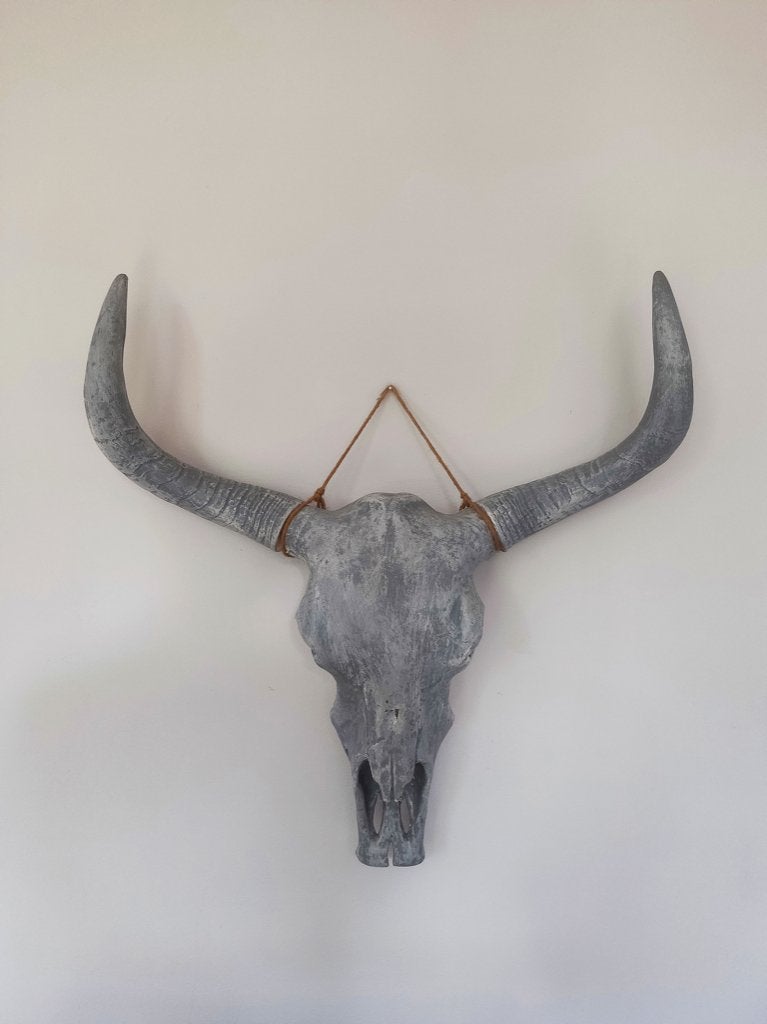 Grote schedel (buffel) – Industrieel & Decoratief, Ophalen, Zo goed als nieuw