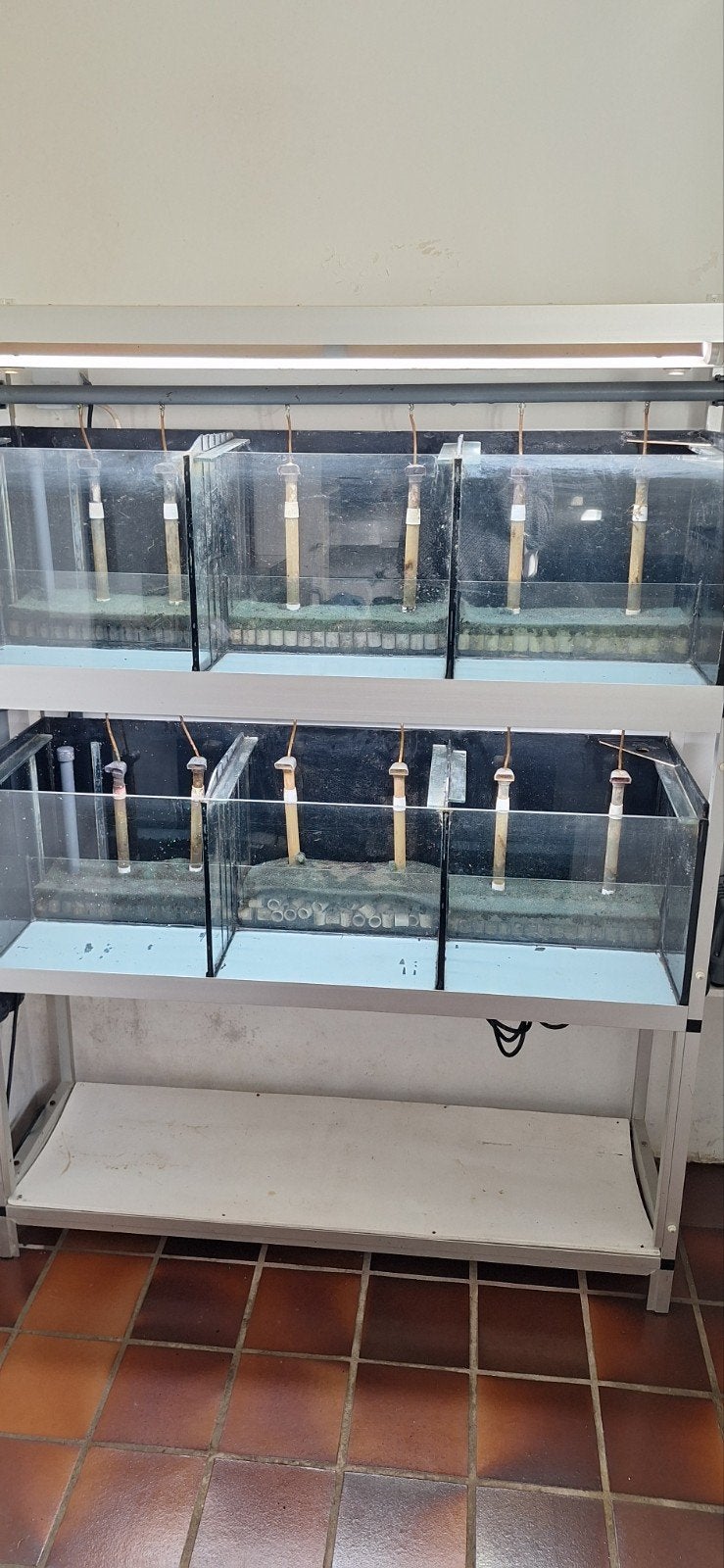 Nette aquariumstelling 130x40x175, Ophalen, Leeg aquarium