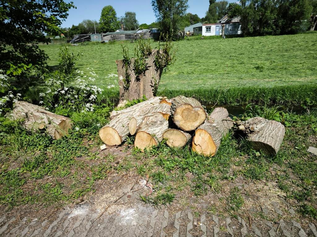 Open Haardhout, Minder dan 3 m³, Ophalen of Verzenden