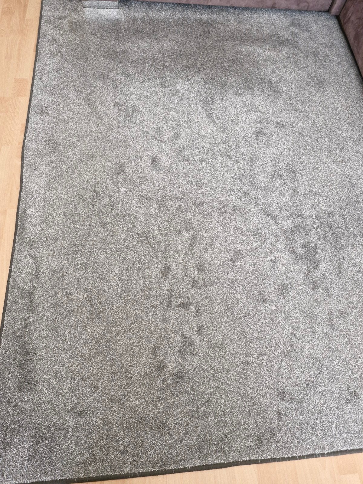 Tapijt grijs, netjes gebruikt, Ophalen, 150 tot 200 cm, 200 cm of meer, Zo goed als nieuw