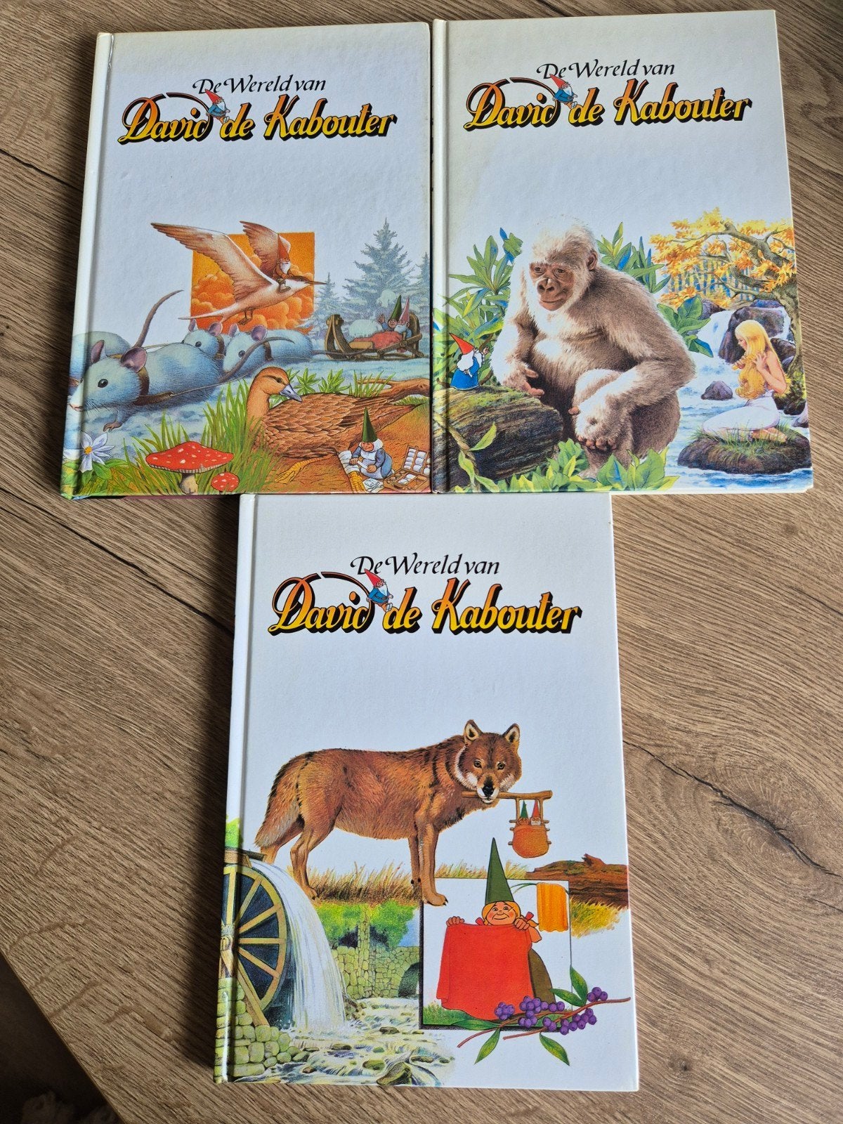 3 boeken van de wereld van David de kabouter, Ophalen of Verzenden, Zo goed als nieuw, 3 tot 4 jaar