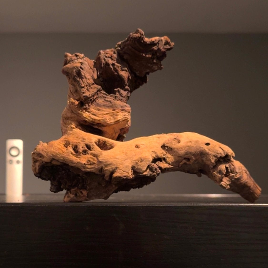 Mooi Stuk Mopani Kienhout, Driftwood Aquarium Hout Decoratie, Ophalen of Verzenden, Zo goed als nieuw, Plant(en), Steen of Hout