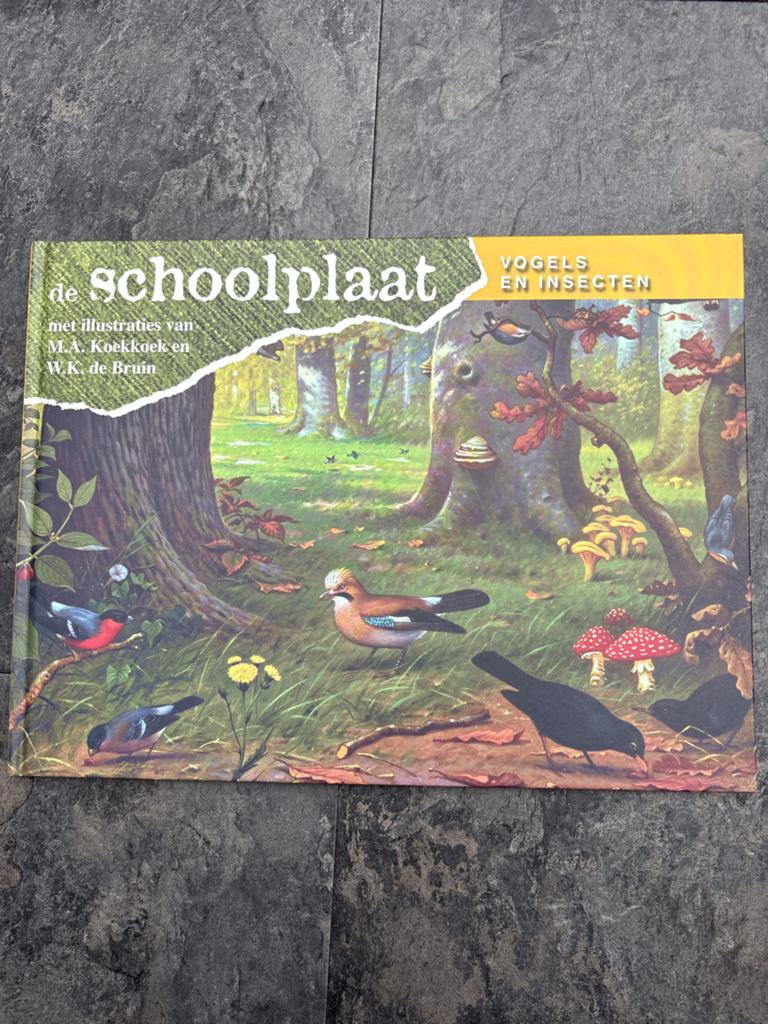 De Schoolplaat - Vogels en Insecten, Boeken, Ophalen of Verzenden, Zo goed als nieuw, Vogels