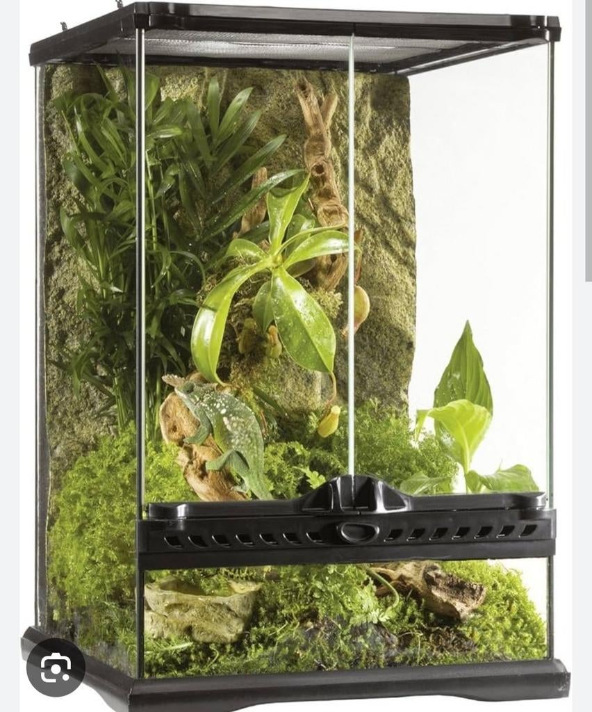 Terrarium, Dieren en Toebehoren, Reptielen en Amfibieën | Toebehoren, Ophalen