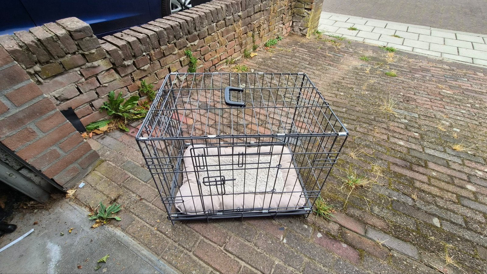 honden bench small., Ophalen, Zo goed als nieuw