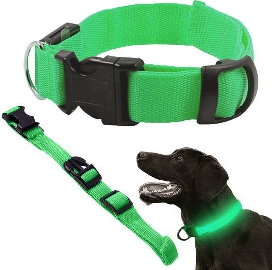 Led Halsband Hond -Groen - 3 Standen -Verstelbaar 36 - 59 cm, Verlicht, 7604 HH, Nieuw, Ophalen of Verzenden