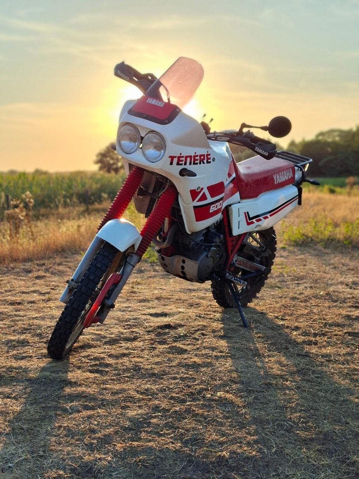 Yamaha Tenere XT600Z, Particulier, Minimaal motorrijbewijs A2, Handgeschakeld, 12 t/m 35 kW