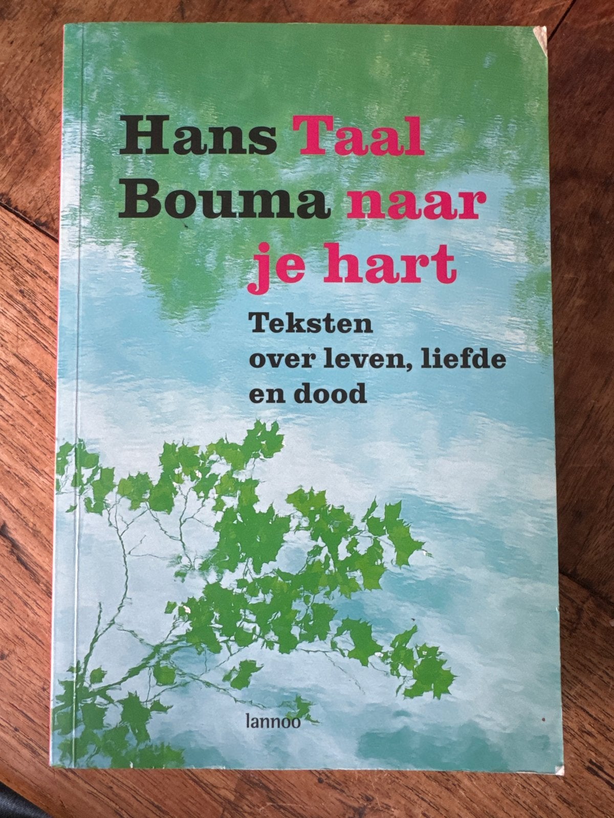 Hans Taal Bouma naar je hart - Teksten over leven, liefde, Boeken, Ophalen of Verzenden, Zo goed als nieuw, Nederland