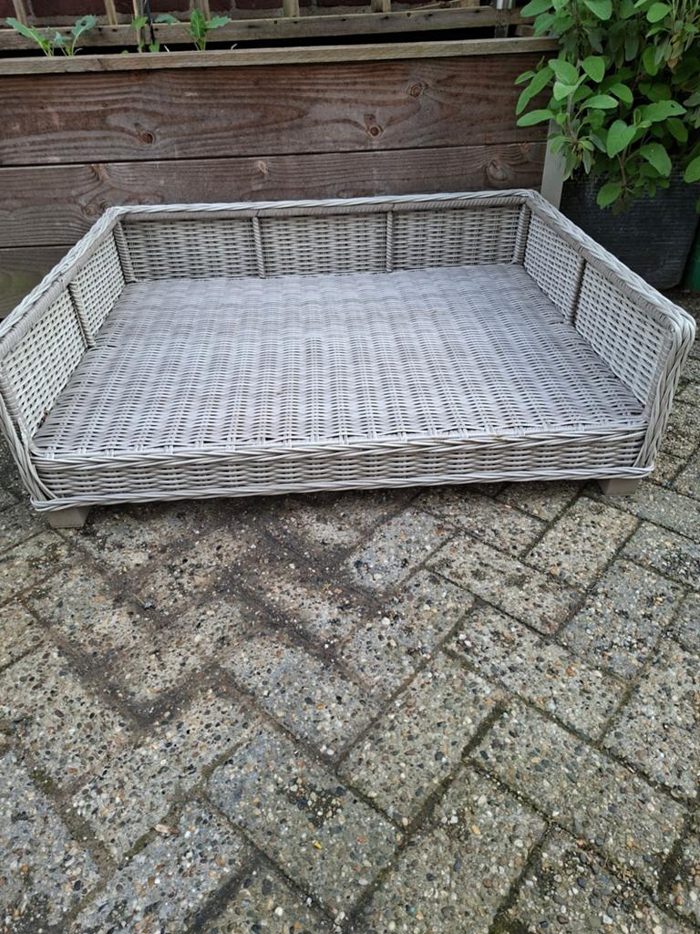 Honden mand, Ophalen of Verzenden, Riet
