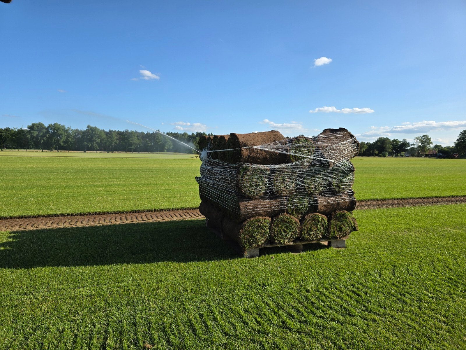 graszoden grasmatten grasplaggen, Tuin en Terras, Gras en Kunstgras, Ophalen, Nieuw