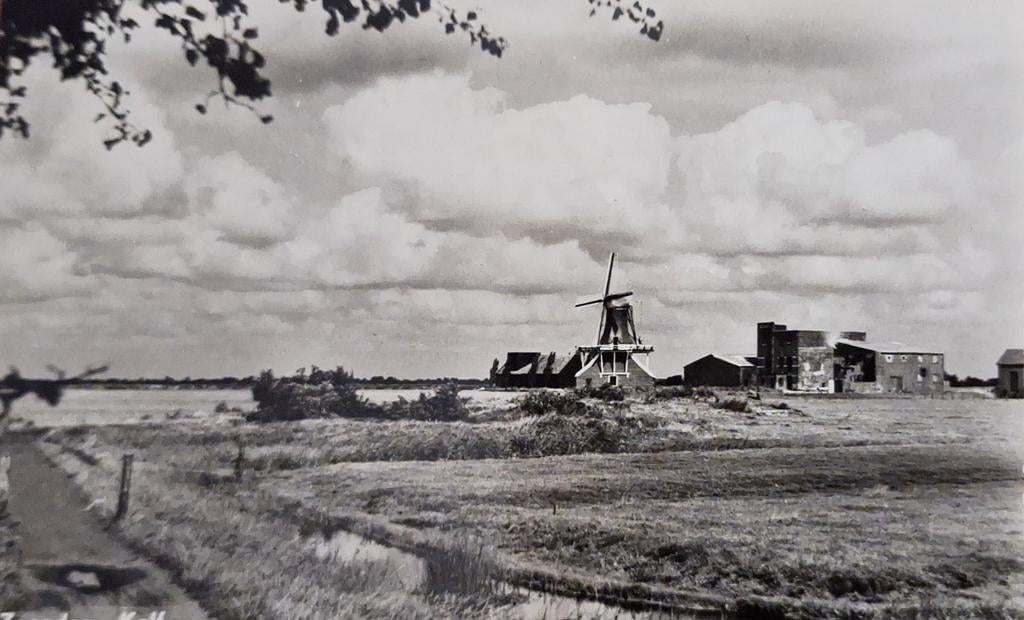 Fotokaart Zaandam - Kalf - 1962, Verzamelen, Ansichtkaarten | Nederland, Ophalen of Verzenden, 1960 tot 1980, Gelopen, Noord-Holland