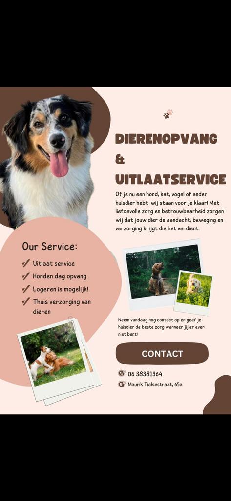 Dierenverzorging, Komt aan huis, Oppas
