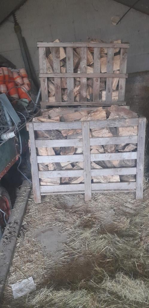 Goedkoop droog populieren haardhout, Minder dan 3 m³, Ophalen
