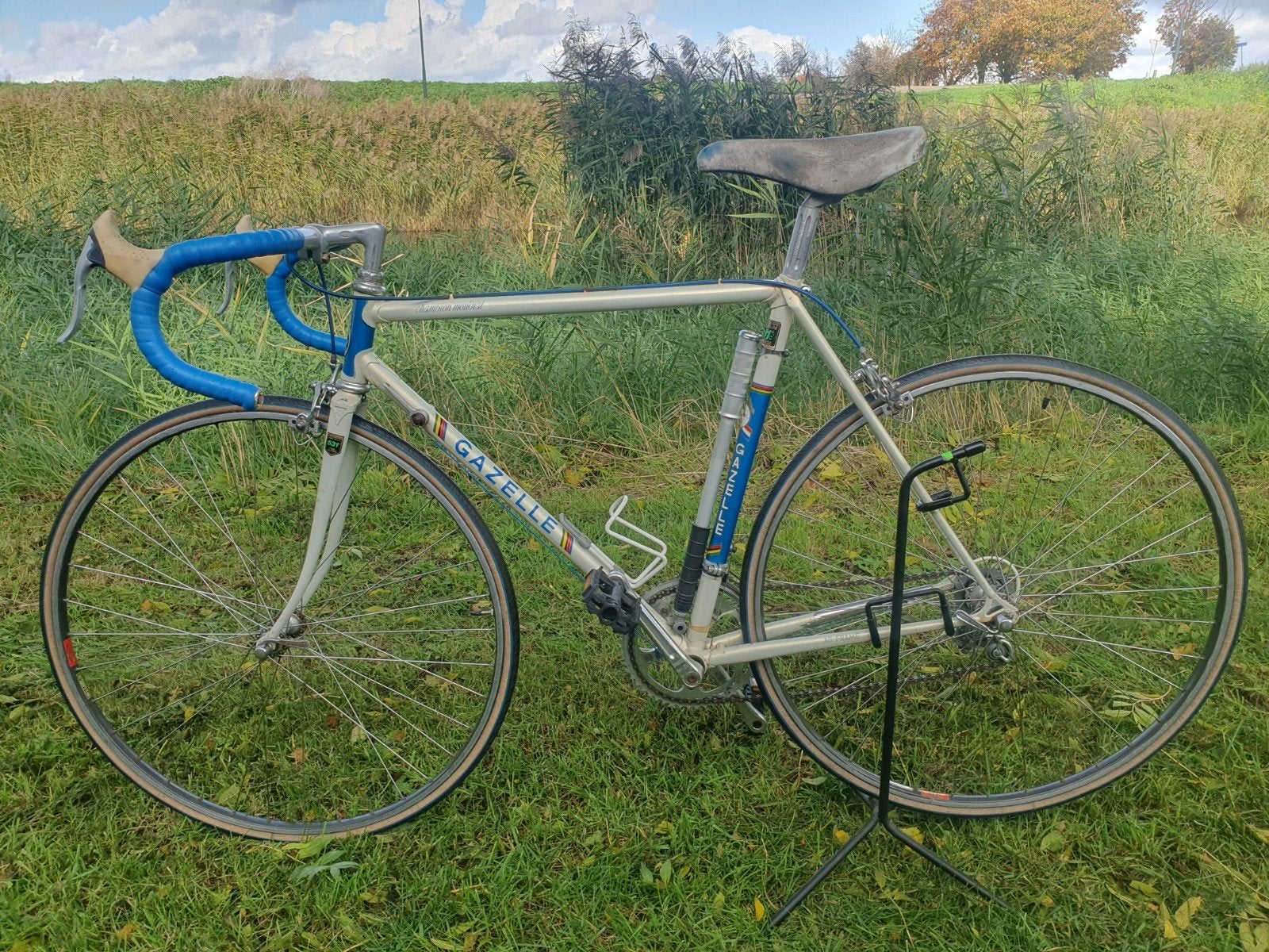 Gazelle Champion Mondial 1983 AB frame, Ophalen, Gebruikt, Velgrem, Gazelle