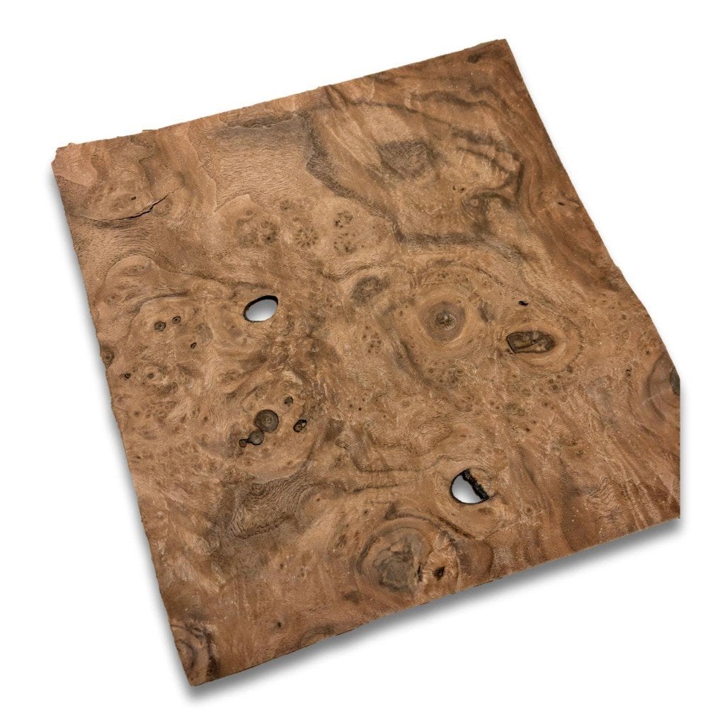 Walnoot wortelfineer | 23x22 cm, -, Verzenden, -, Nieuw