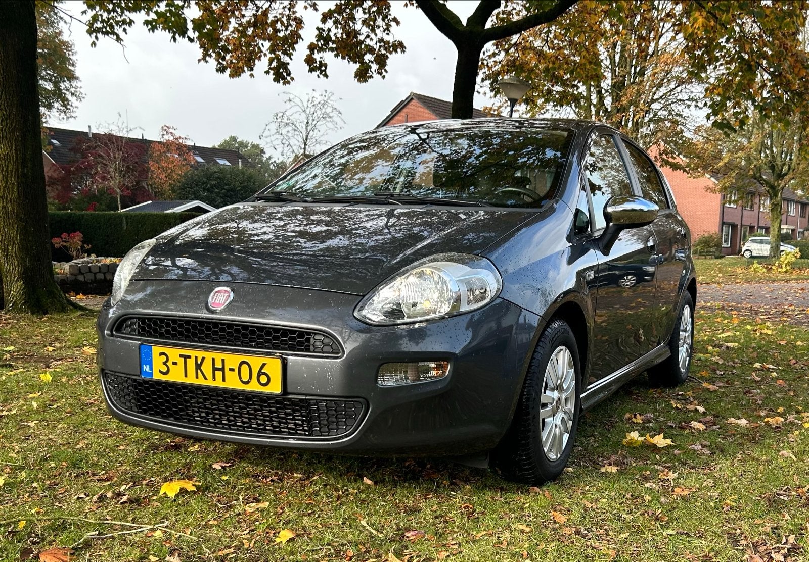 Fiat Punto