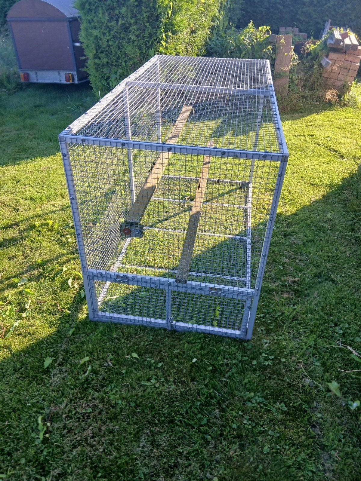 Voorhangren postduiven, Dieren en Toebehoren, Vogels | Duiven, Meerdere dieren, Postduif