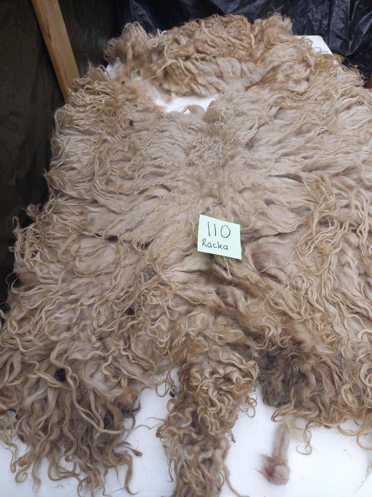 nr 110 Geschoren vacht van een Racka schaap - Ruwe wol, Ophalen of Verzenden, Gebruikt