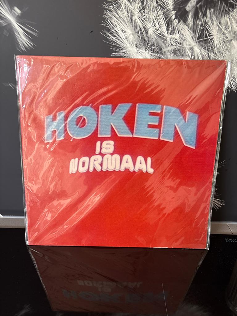 Hoken Is Normaal - Vinyl LP (1977), Cd's en Dvd's, Vinyl | Nederlandstalig, Gebruikt, Overige genres, Ophalen of Verzenden, 1970 - 1979