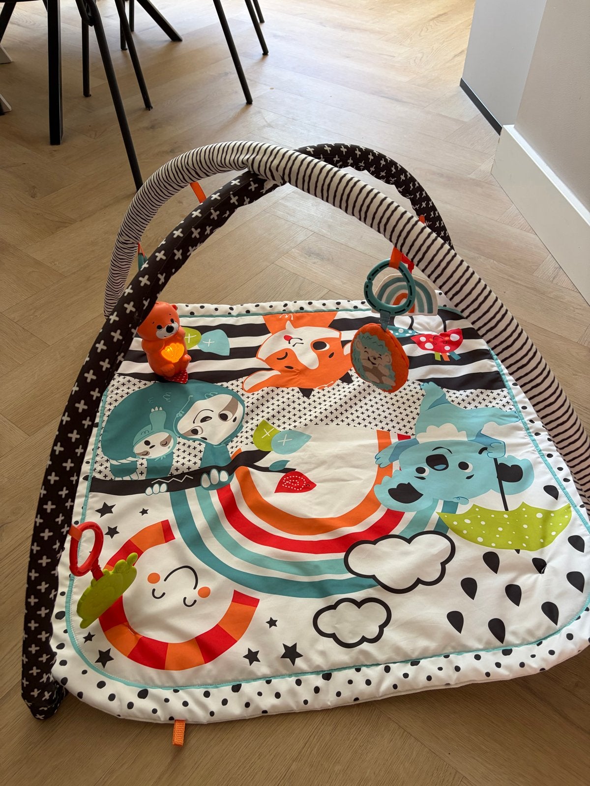 Fisher Price Baby Gym - Zeer goede staat, Ophalen, Zo goed als nieuw, Overige typen, Met licht