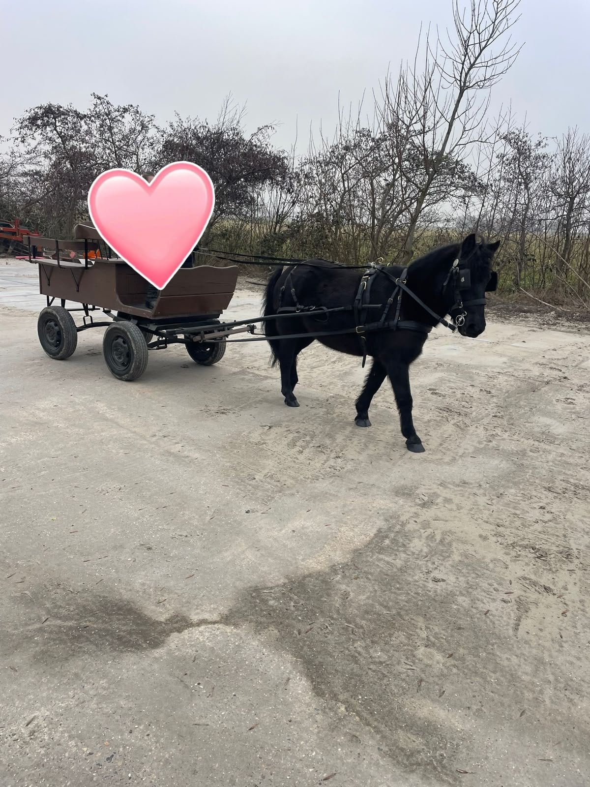 Recreatief menkarretje, Zo goed als nieuw, Overige typen, Pony