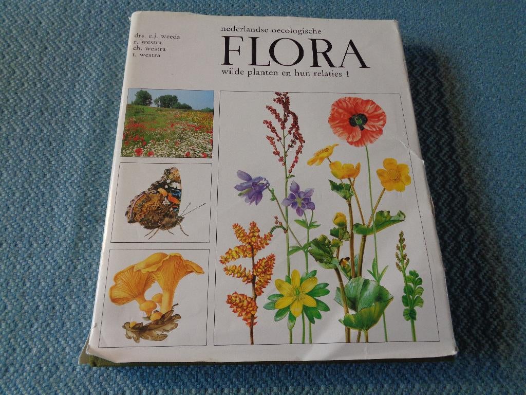 Nederlandse oecologische FLORA deel 1, Boeken, Ophalen of Verzenden, Zo goed als nieuw, Bloemen, Planten en Bomen, Drs. E.J. Weeda e.a.
