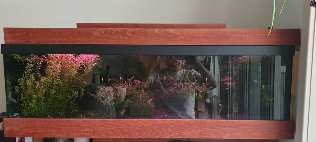 Aquarium met veel toebehoren, Dieren en Toebehoren, Ophalen, Leeg aquarium