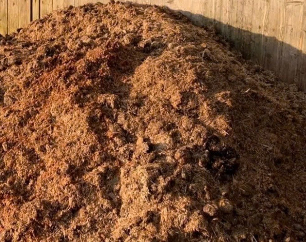 Verse compost voor uw tuin, Tuin en Terras, Ophalen, Compost
