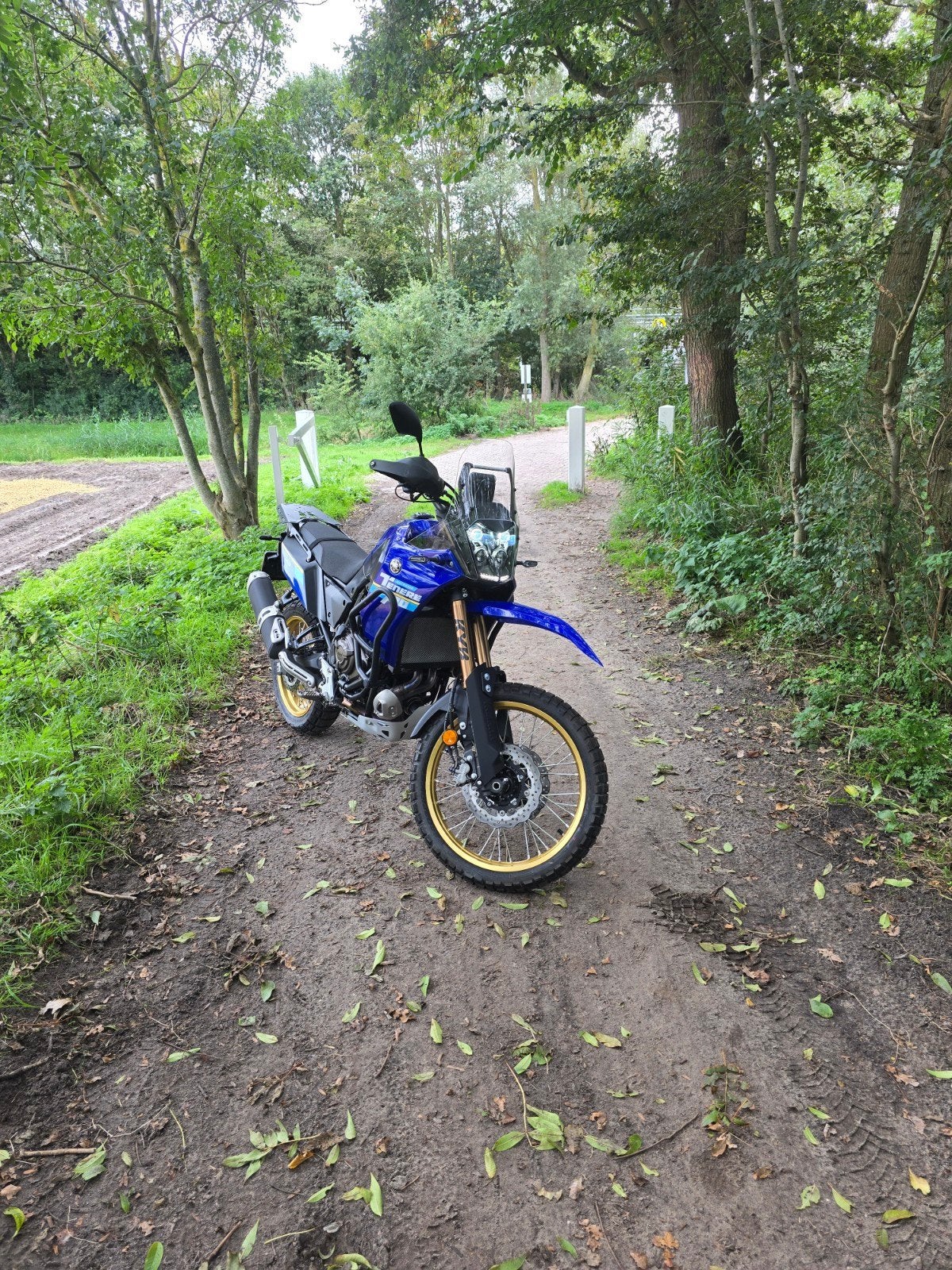 Yamaha Tenere Extreme 2024, Motoren, 700 cc, 2 cilinders, Occasion, ABS