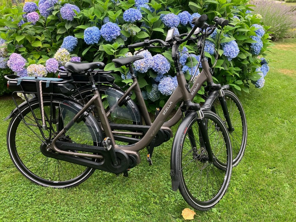 2 Stella Livorno elektrische fietsen, Fietsen en Brommers, 53 tot 56 cm, Versnellingen, Zo goed als nieuw, Schijfrem