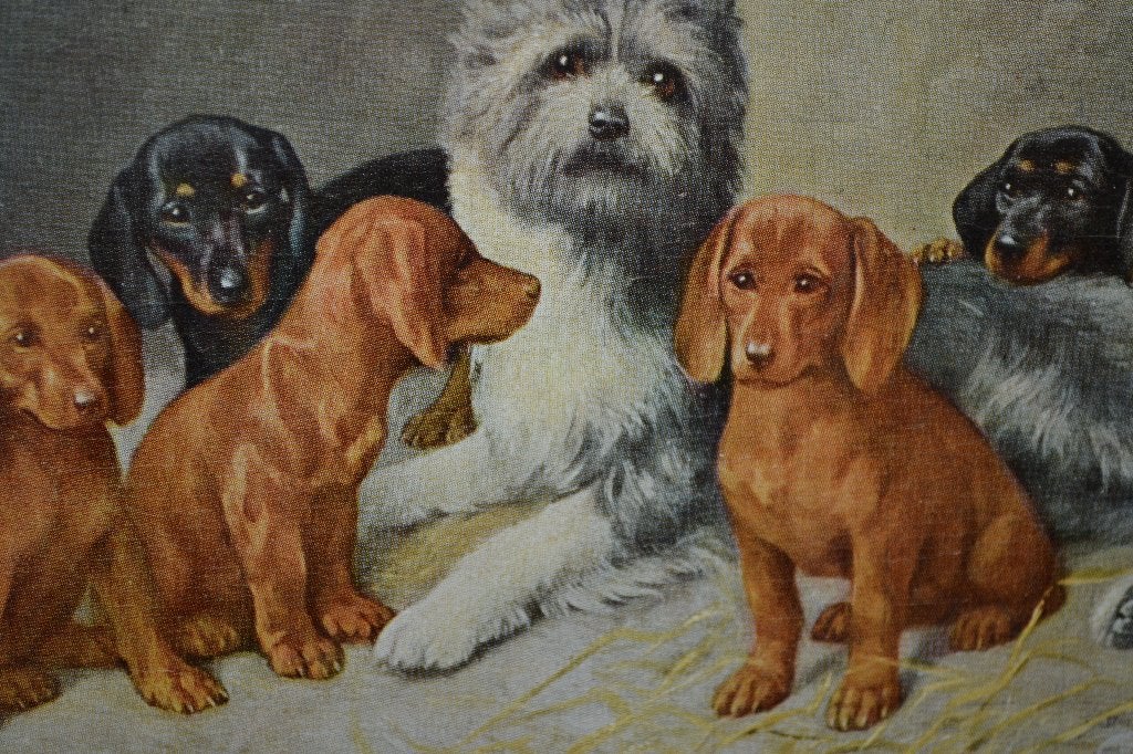 frankrijk 1935  honden teckels, Ophalen of Verzenden, 1920 tot 1940, Gelopen, Sterren en Beroemdheden