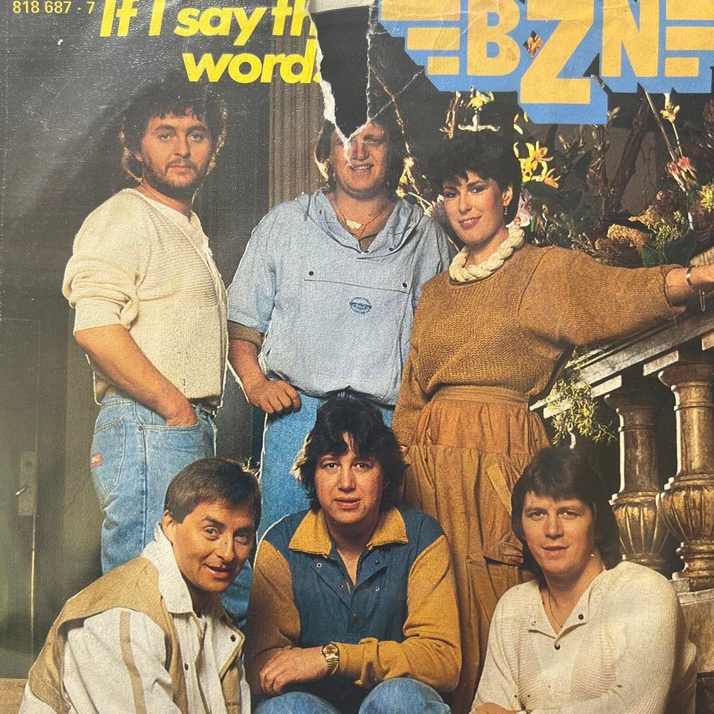 BZN - If I Say The Words, Ophalen of Verzenden, Gebruikt, Pop