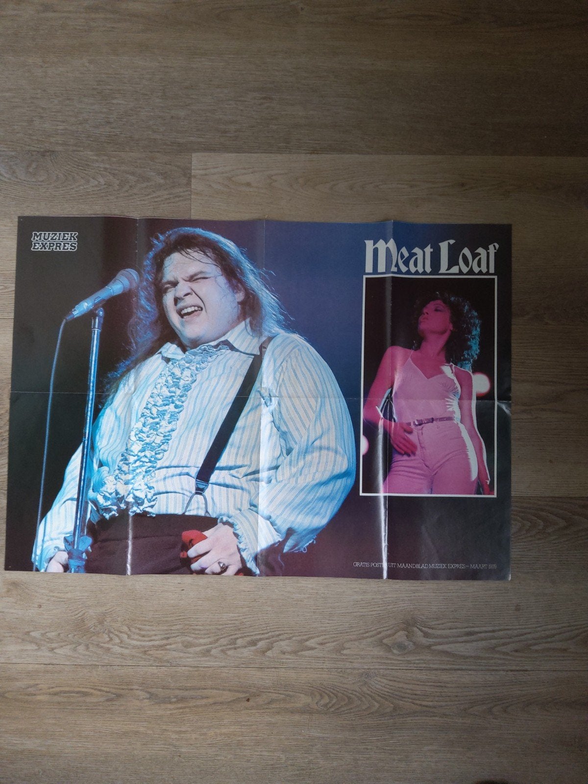 Meatloaf: Double sized poster zeer groot formaat, Verzamelen, Posters, Ophalen of Verzenden, A1 t/m A3