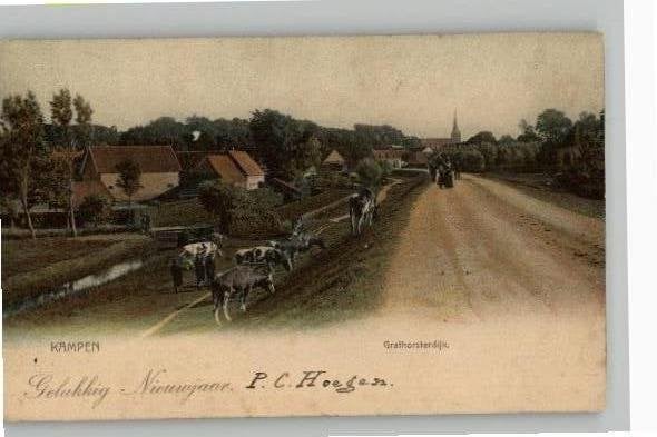 Kampen Grafhorsterdijk met koeien Prachtkaart st 1904, Verzenden, Voor 1920, Gelopen, Overijssel