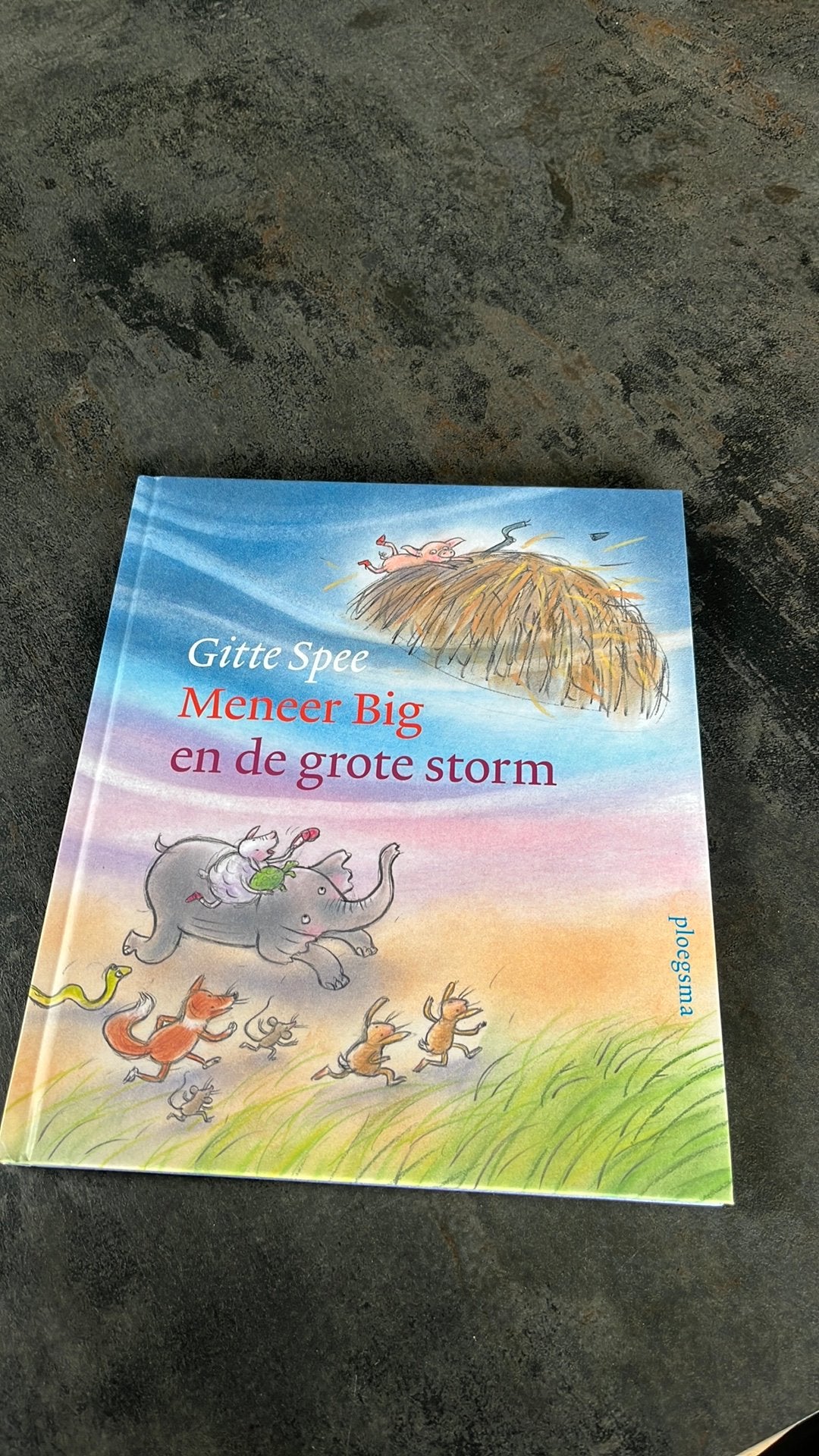 Gitte Spee - Meneer Big en de grote storm, Ophalen of Verzenden, Zo goed als nieuw, Gitte Spee