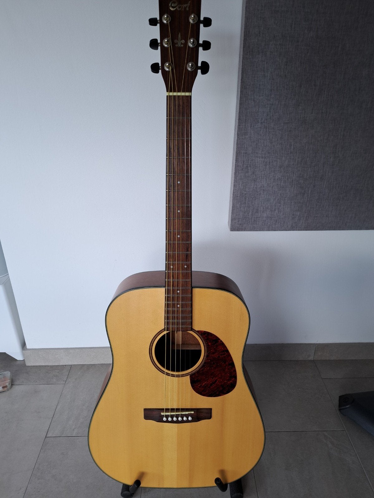Cort Earth 100-NS Western gitaar, Ophalen, Zo goed als nieuw, Western- of Steelstringgitaar