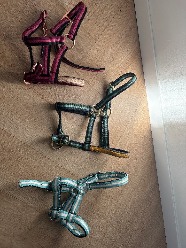 Halster veulen, Dieren en Toebehoren, Harry's Horse, Nieuw, Halster, Mini
