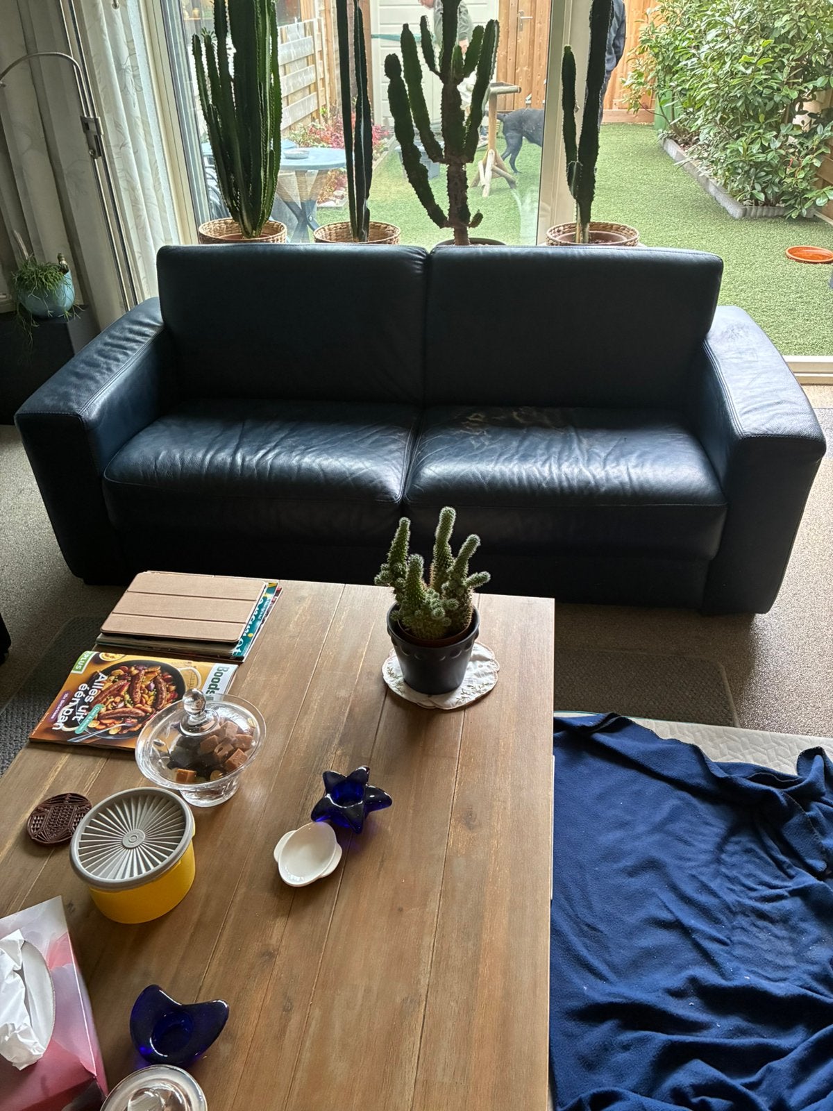 Gratis 2 3-zits banken, Ophalen, Overige materialen, 250 tot 300 cm, Gebruikt