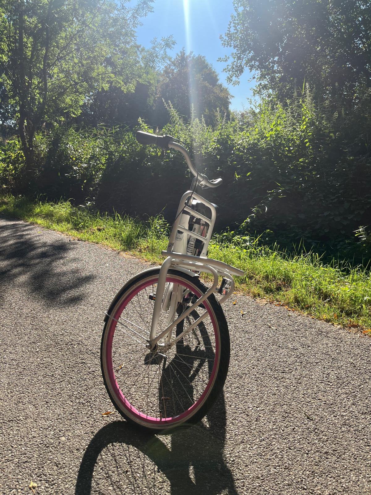 Gazelle miss grace, Minder dan 47 cm, Ophalen, Gebruikt