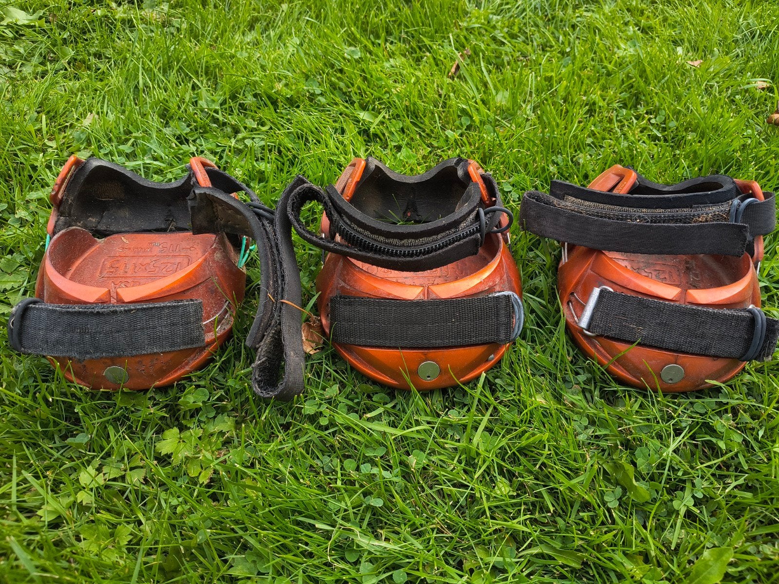 3x regarde vipers, Dieren en Toebehoren, Ophalen of Verzenden