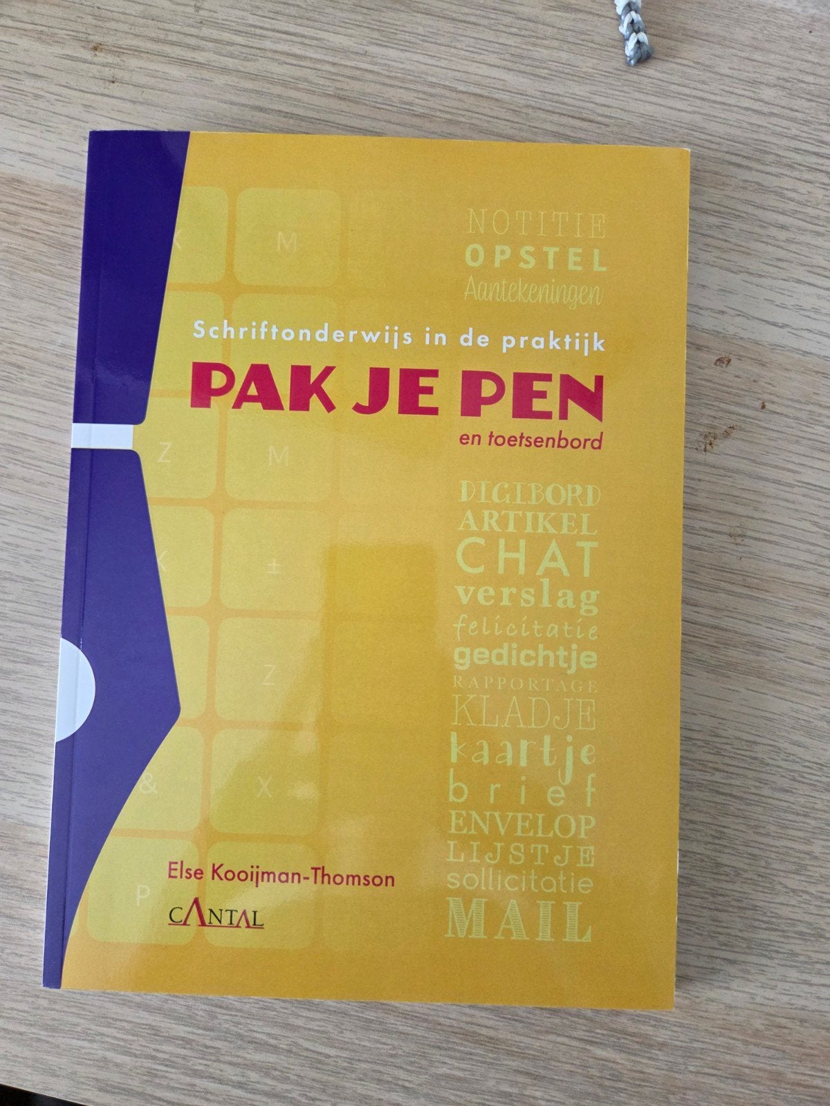 Pak Je Pen - Schriftonderwijs in de praktijk (2022), Boeken, Ophalen of Verzenden, Zo goed als nieuw, Gamma, Else Kooijman-Thomson