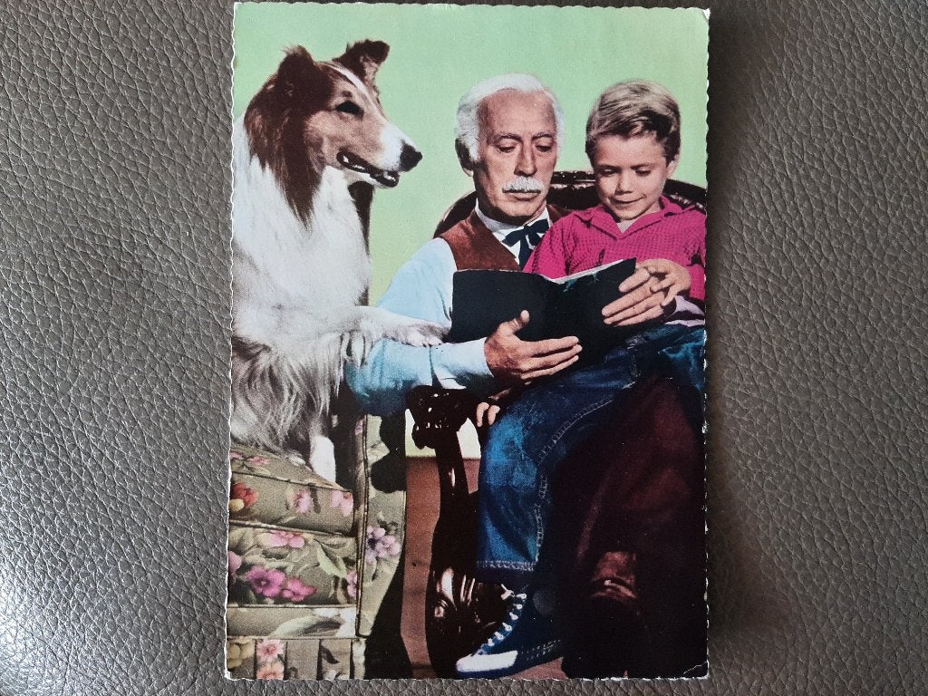 TV helden, Lassie en Skippy, jaren '60, gelopen., Verzenden, 1960 tot 1980, Gelopen, Hond of Kat