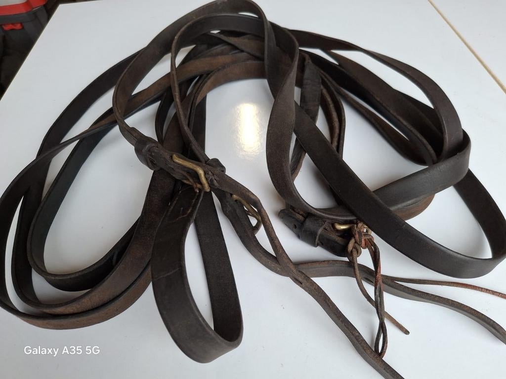 Leren leidsels, Ophalen of Verzenden