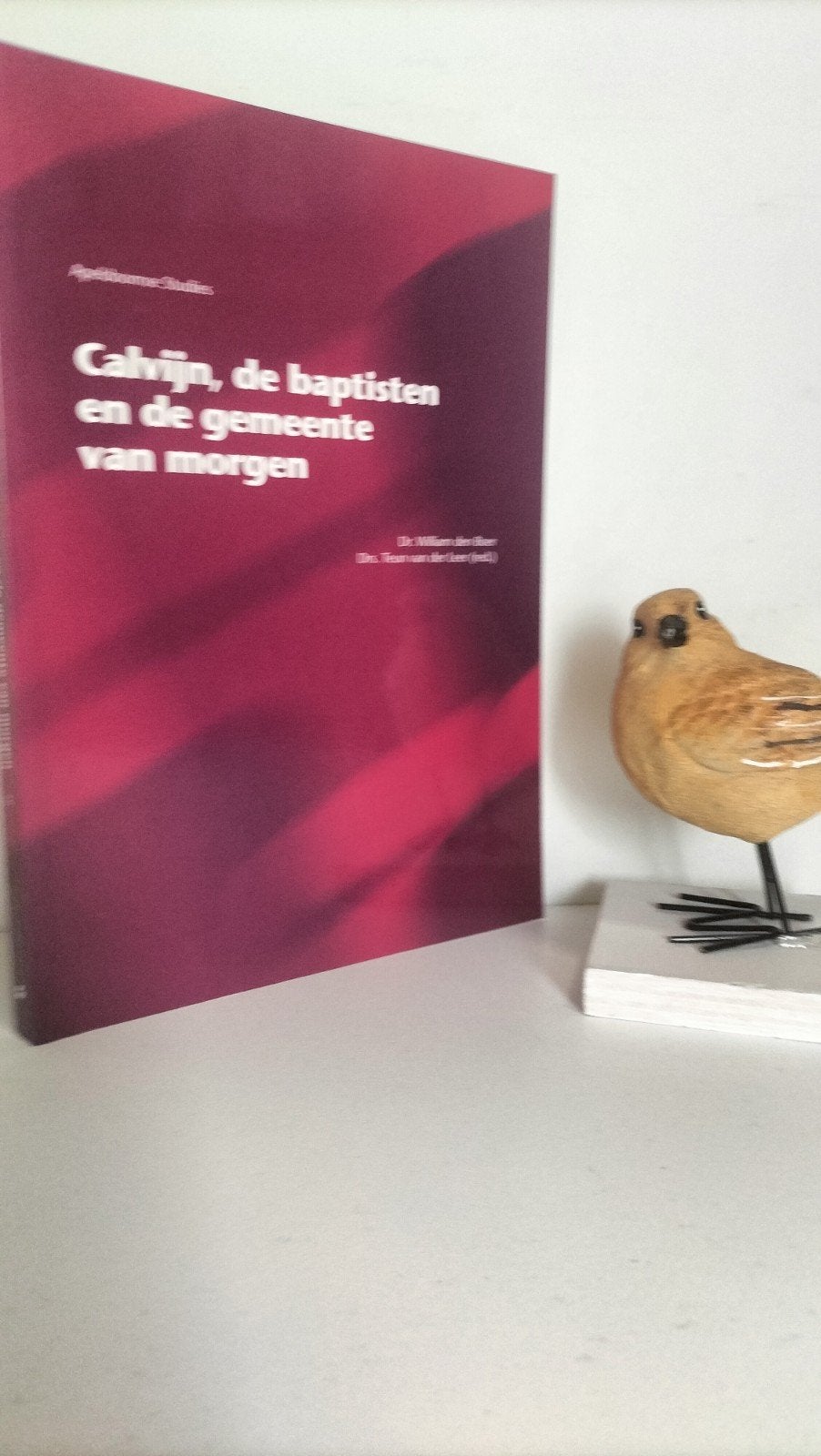 Apeld. stnr 56: Dr W. den Boer e.a.;Calvijn, de baptisten en, Ophalen of Verzenden, Gelezen, Christendom | Protestants
