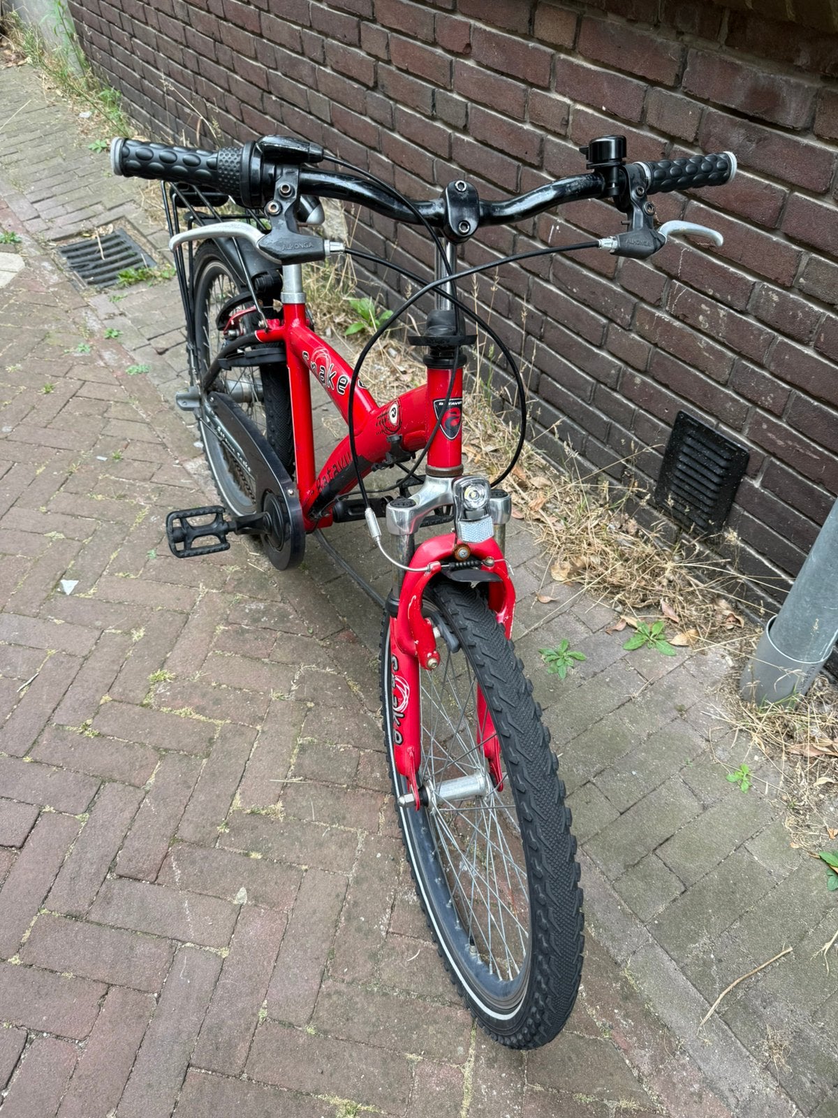 Snake batavus 22 inch jongensfiets, Fietsen en Brommers, Ophalen, Terugtraprem, 22 inch, Gebruikt