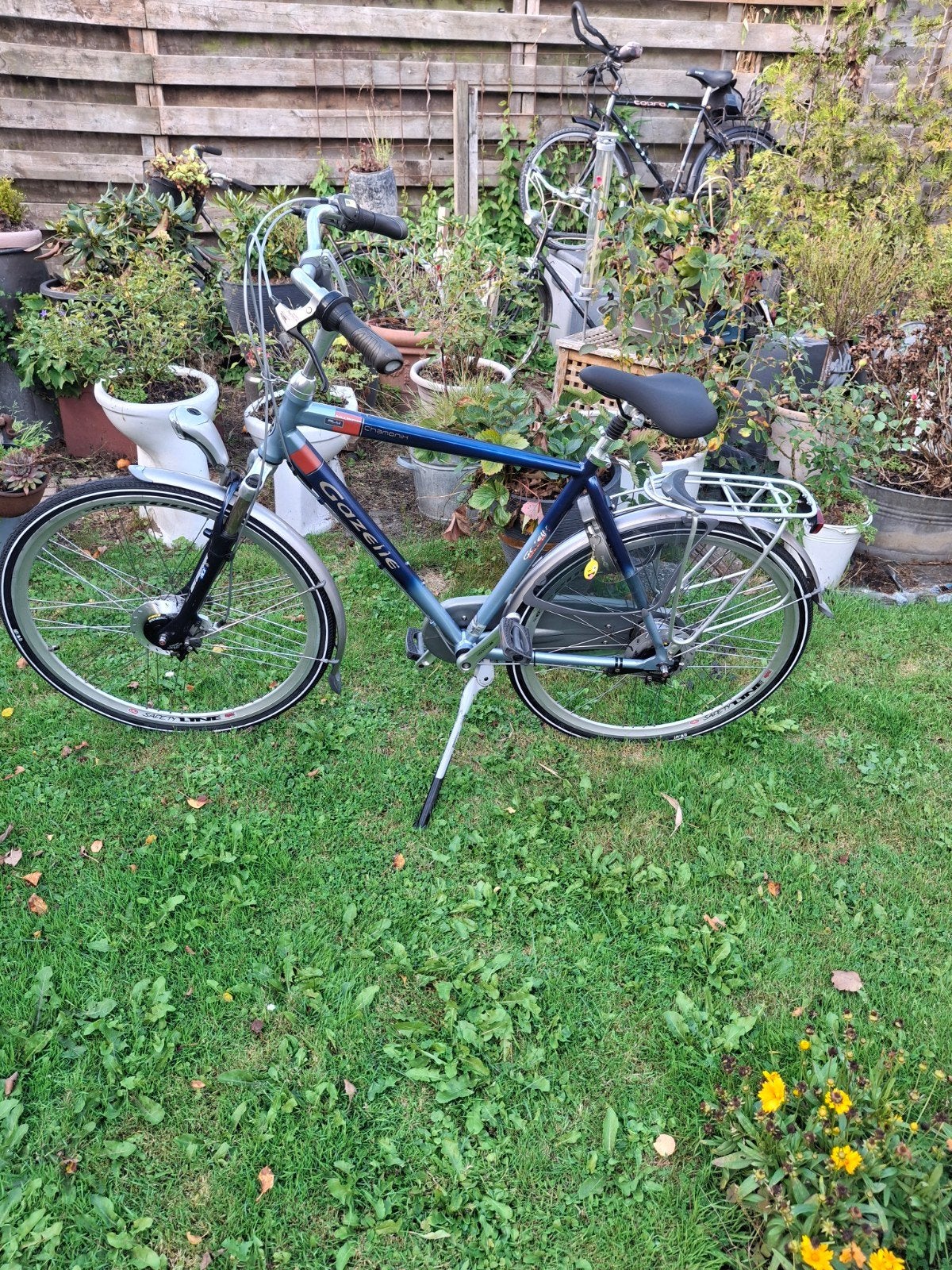 Gazelle Chamonix Herenfiets - Z.G.A.N. met 8 versnellingen, Fietsen en Brommers, Versnellingen, Ophalen of Verzenden, Zo goed als nieuw